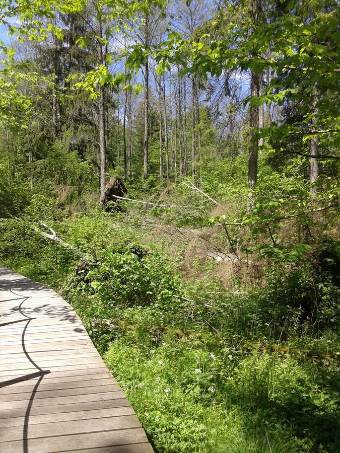 Cztery Pory Roku Pensionat Białowieża Exteriör bild