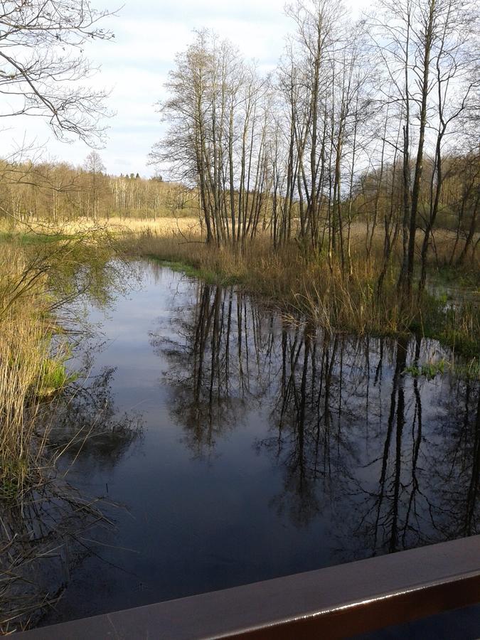 Cztery Pory Roku Pensionat Białowieża Exteriör bild