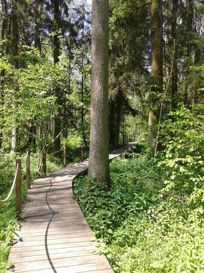 Cztery Pory Roku Pensionat Białowieża Exteriör bild